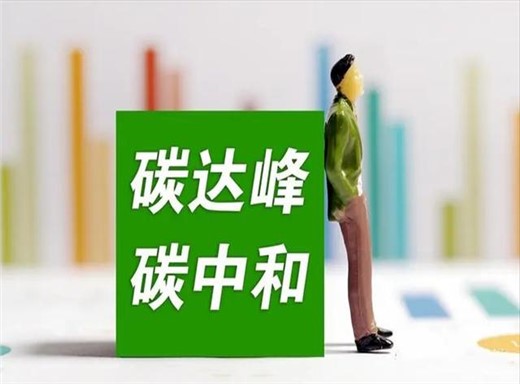 中國“雙碳”目標(biāo)下如何平衡發(fā)展與減排？